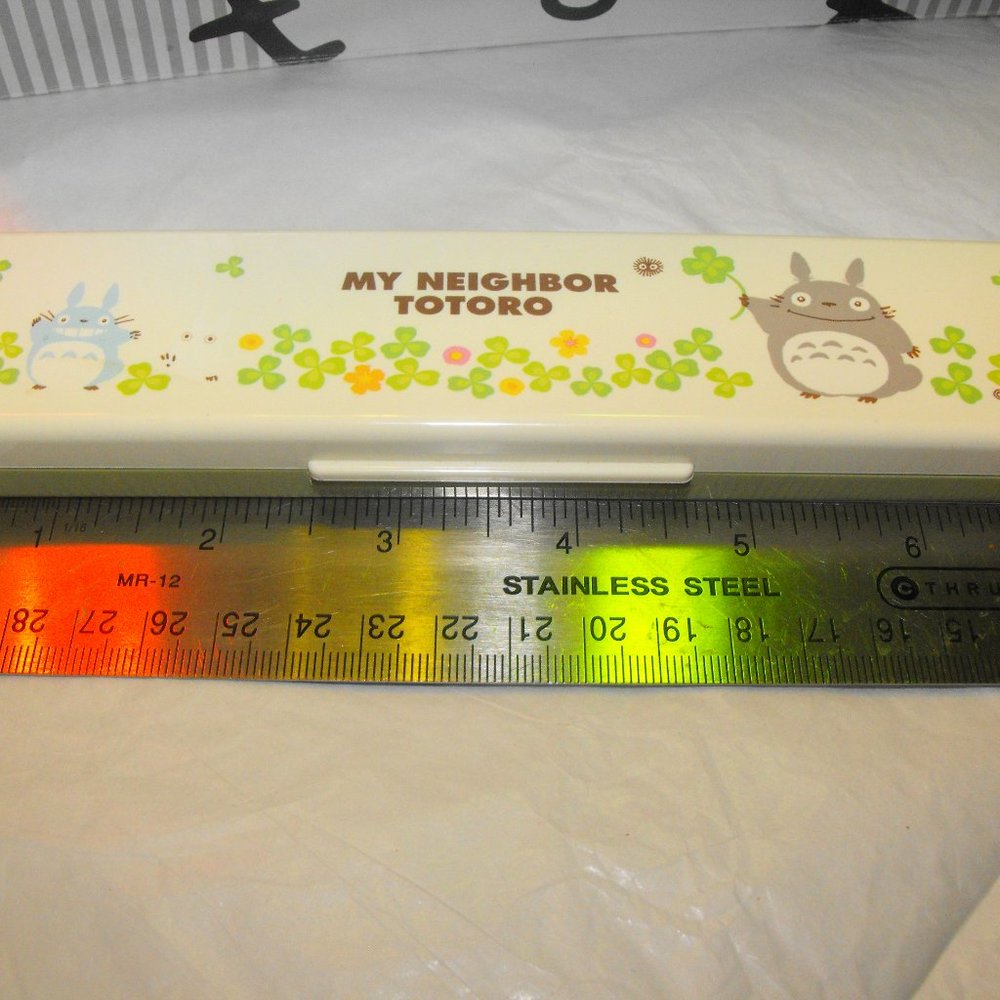 Skater Totoro chopsticks and spoon in case
